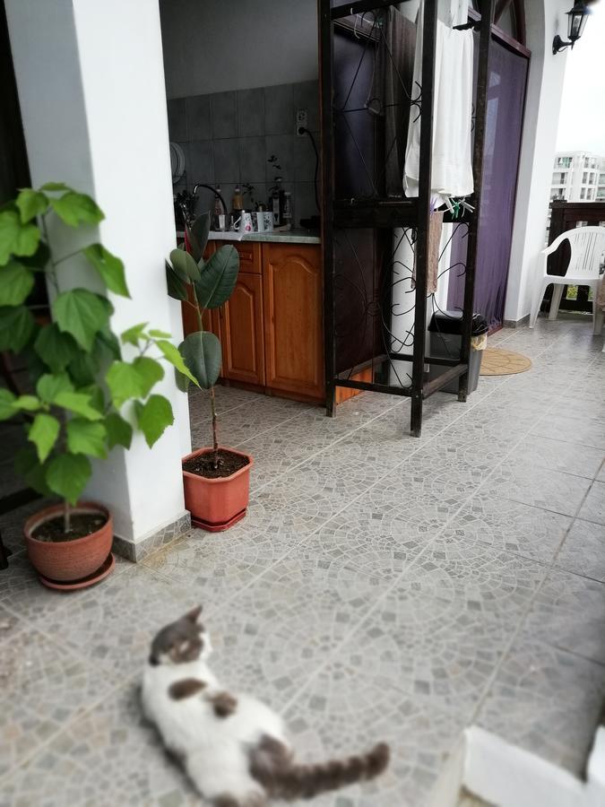South Beach Villa Sinemoretz Εξωτερικό φωτογραφία
